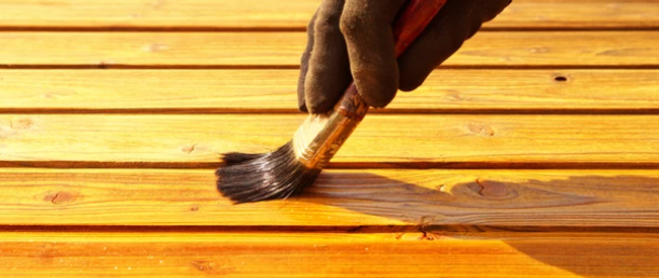 Image illustrant l'activité 